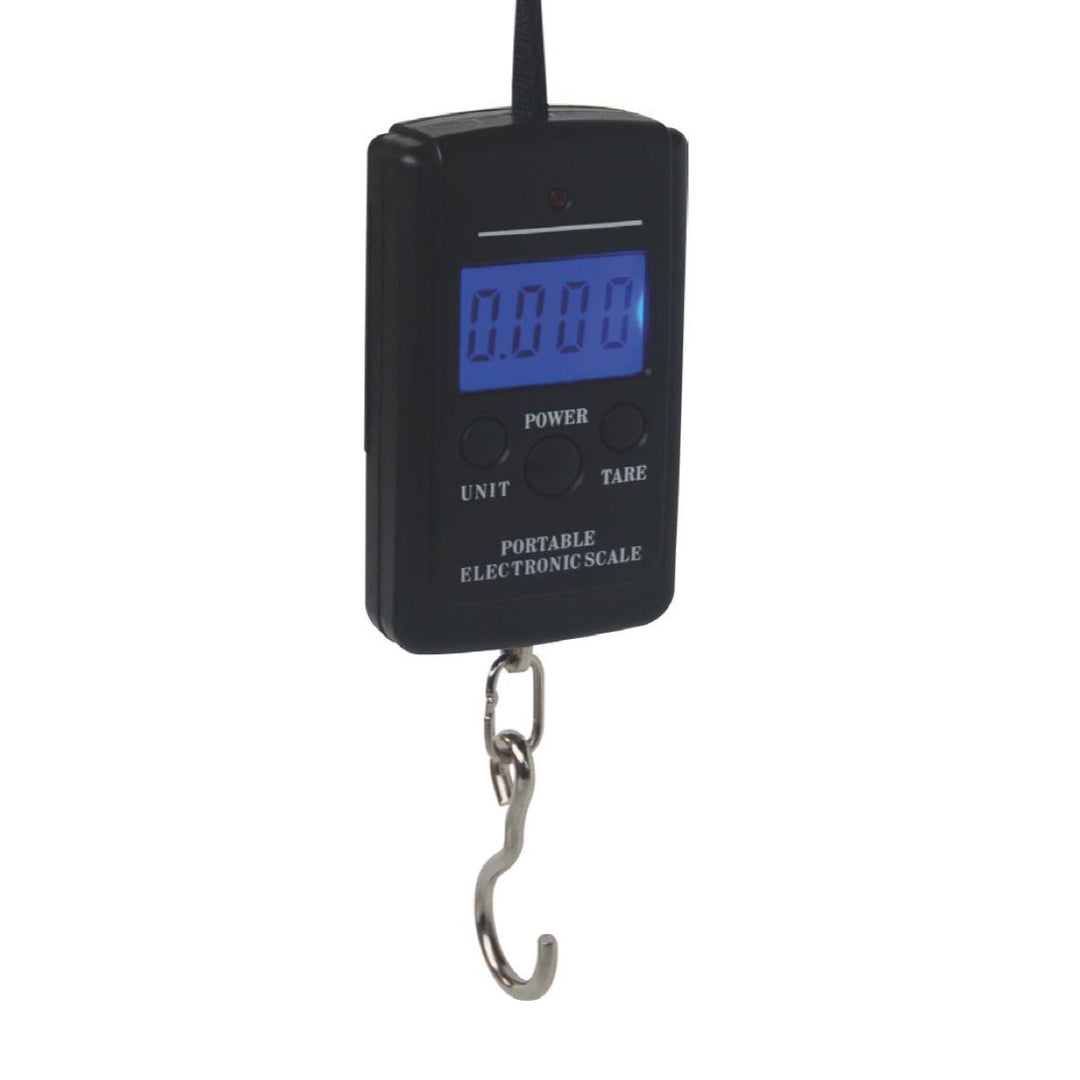 Bilancia Digitale 40 kg