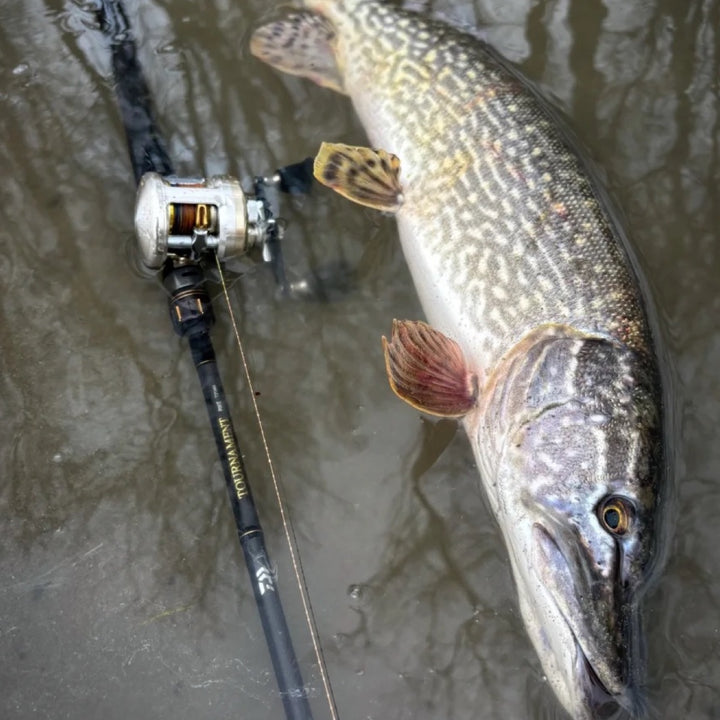 Tournament Pike