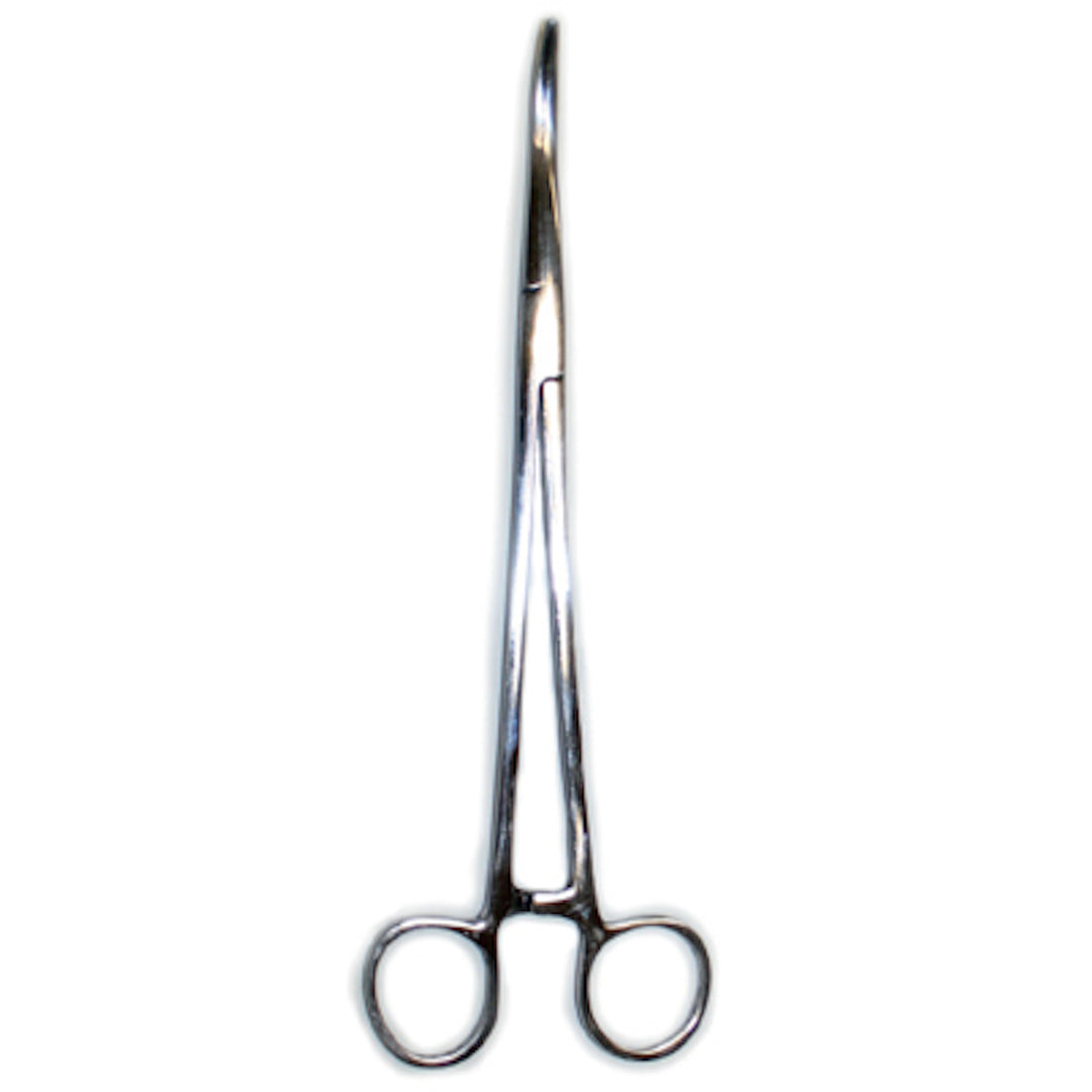 Pinza inox Curva con Fermo 20 cm