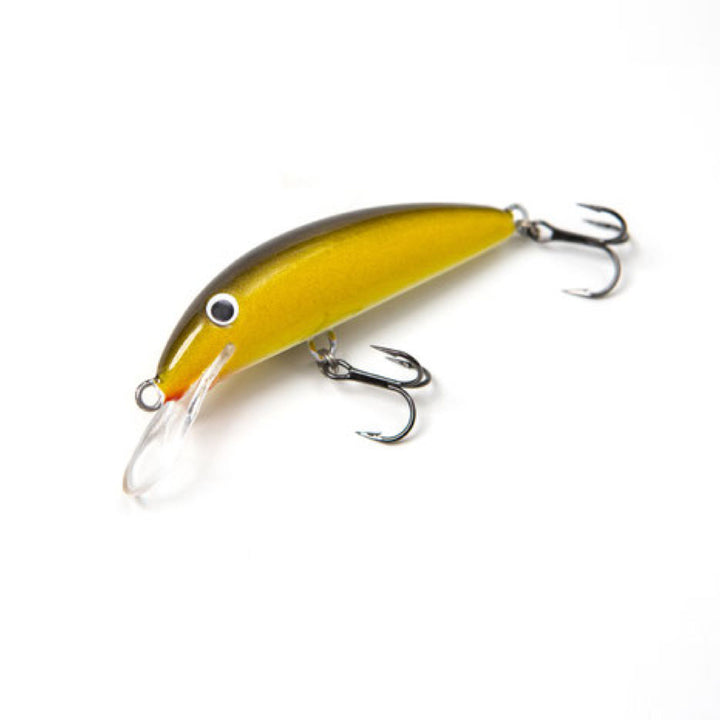 Minnow Evolution Affondante