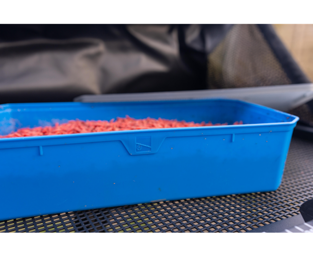 Vaschetta esche 6 Pint Bait Tub