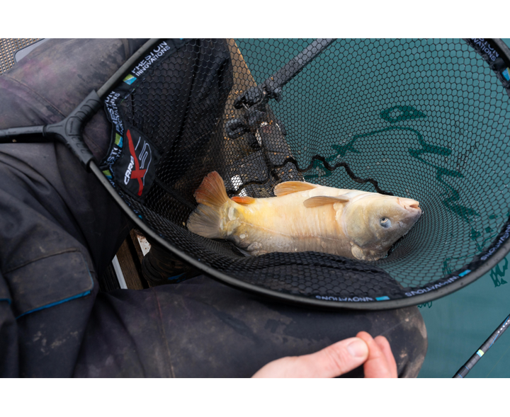 Carp XS Landing Nets