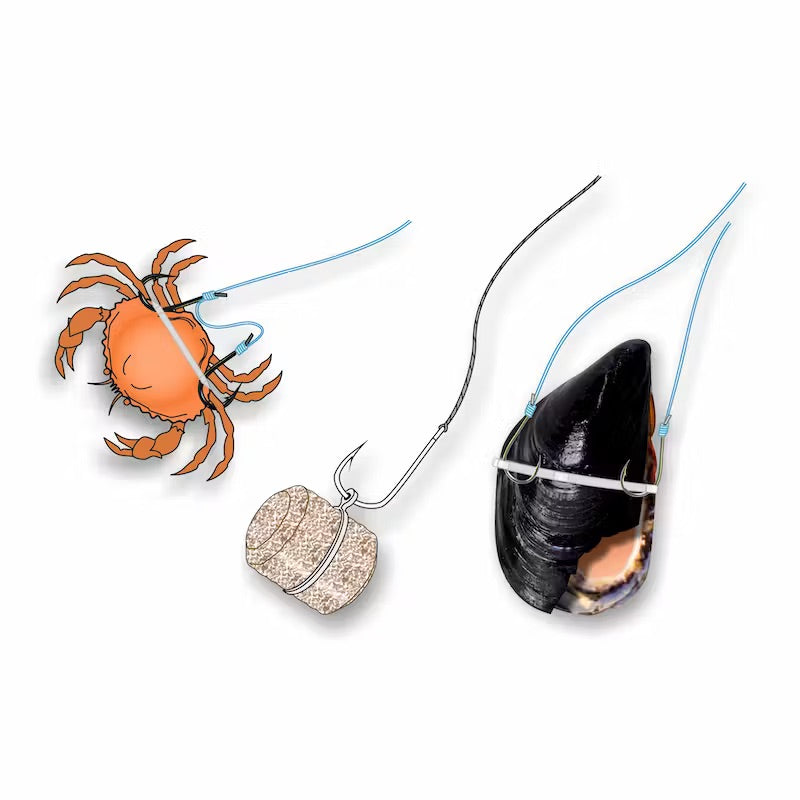 Anelli Elastici Per Esche Magnum