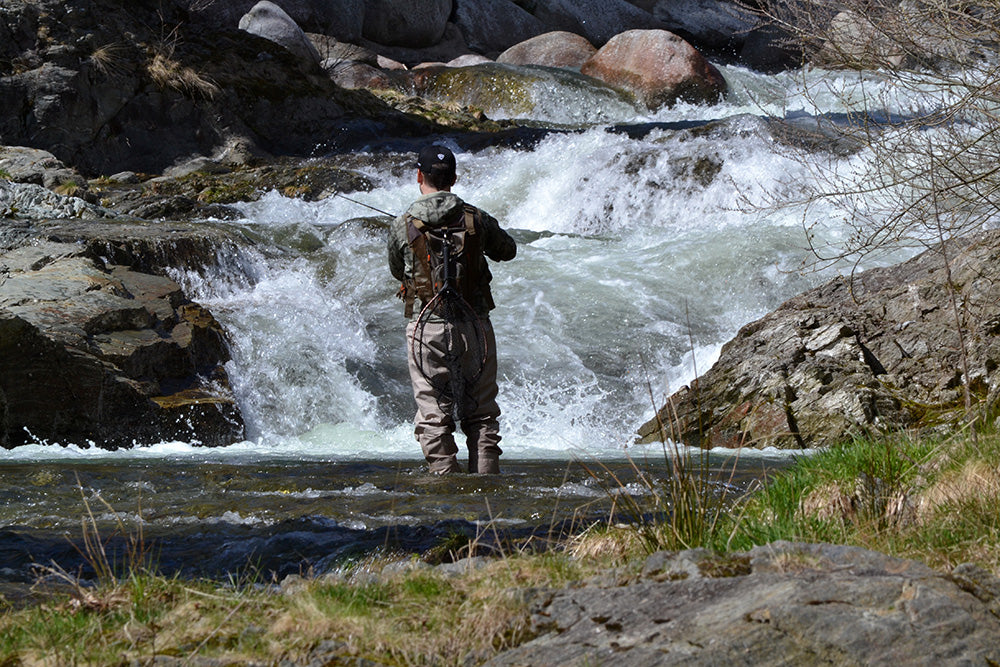 Trota Torrente