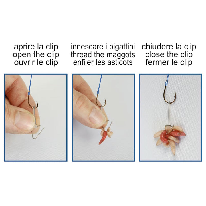Multi Maggot