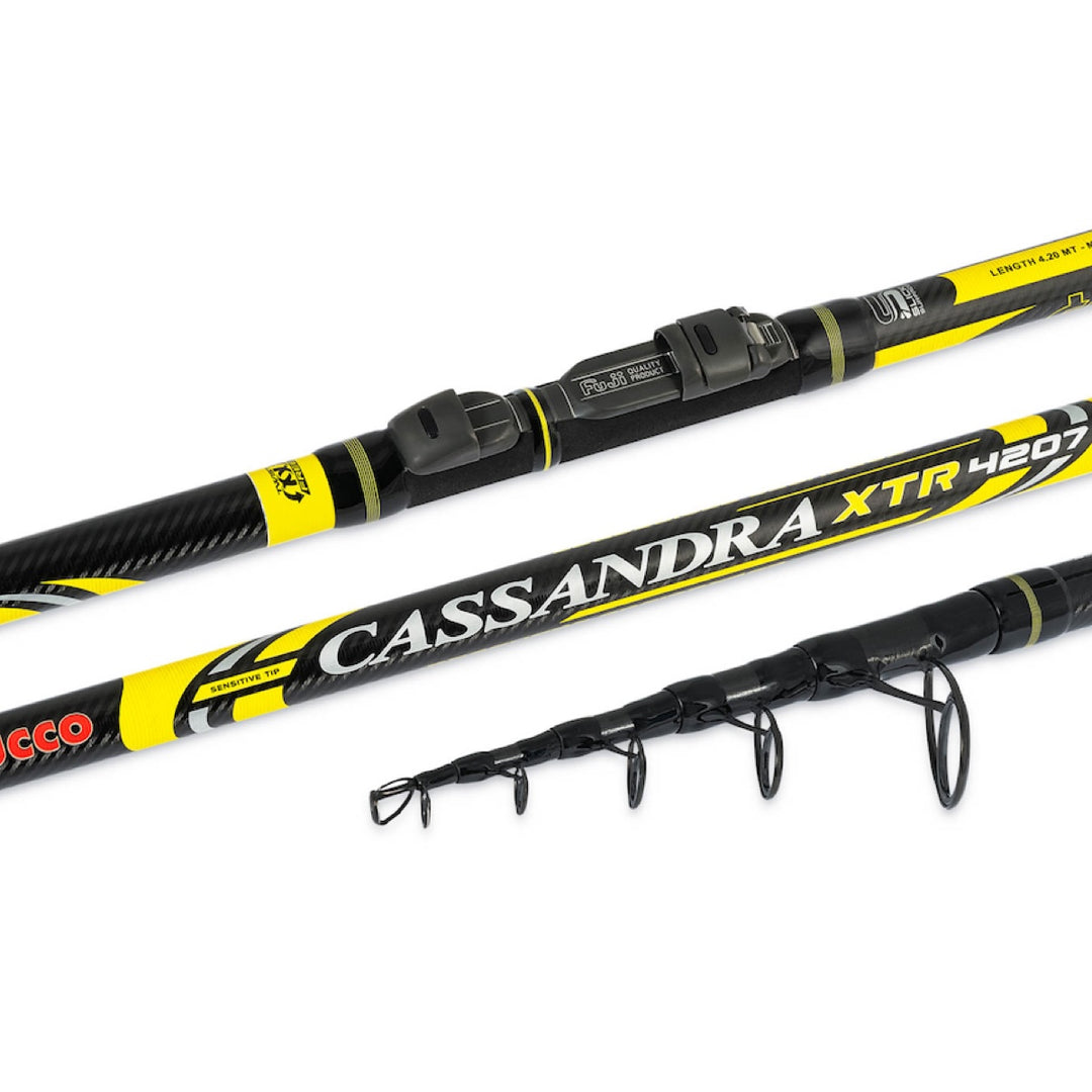 Cassandra XTR