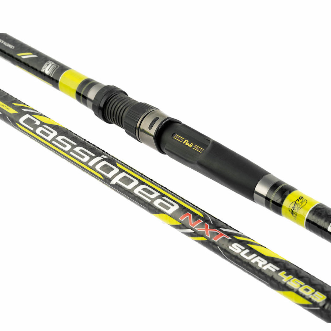 Cassiopea NXT Surf