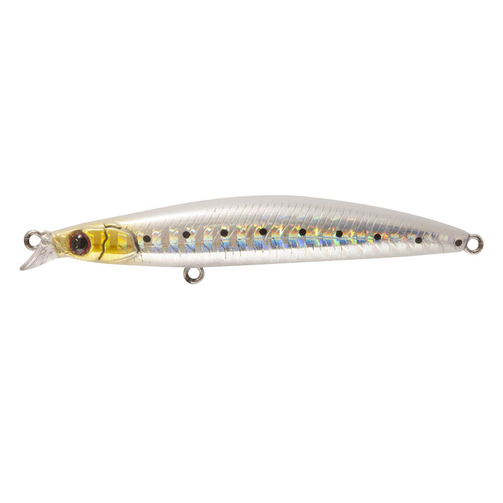 Cruzer Minnow