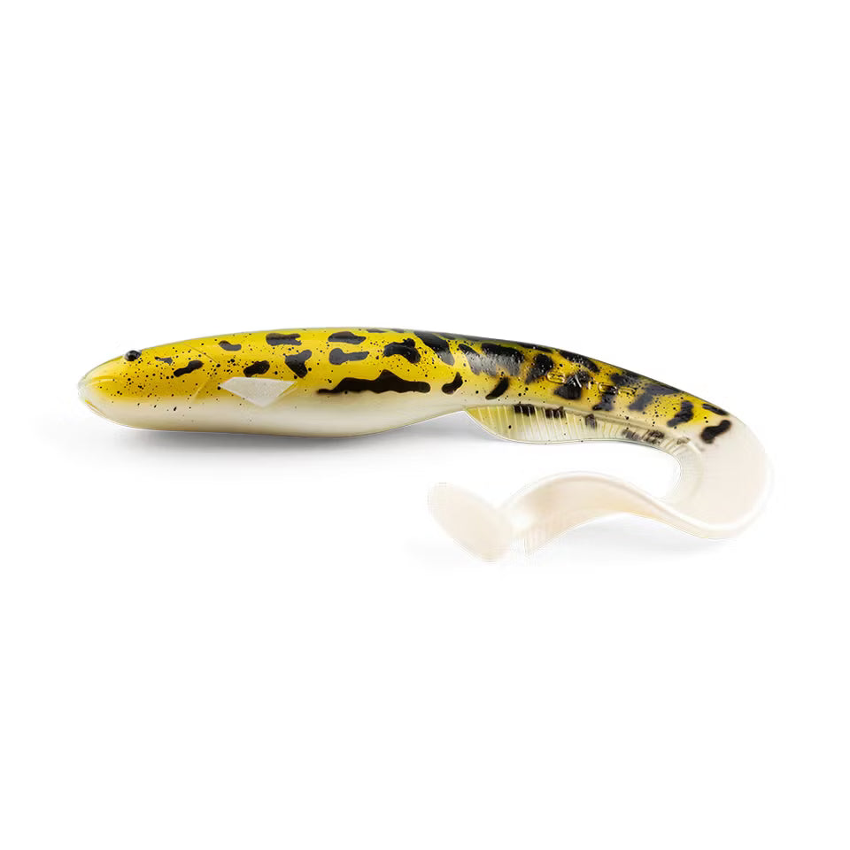 Gator Catfish