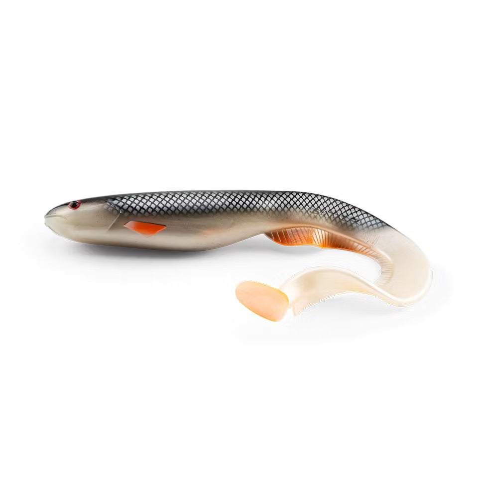Gator Catfish