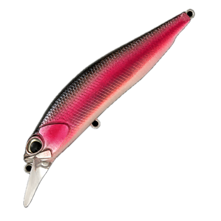 Realis Rozante SP
