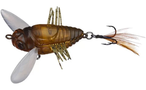 DUO Realis Shinmushi