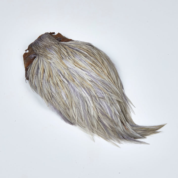 Collo di Gallo Indiano Top Grade Tinto