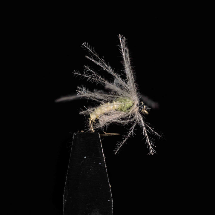 Selezione 3 Mosche – Sedges