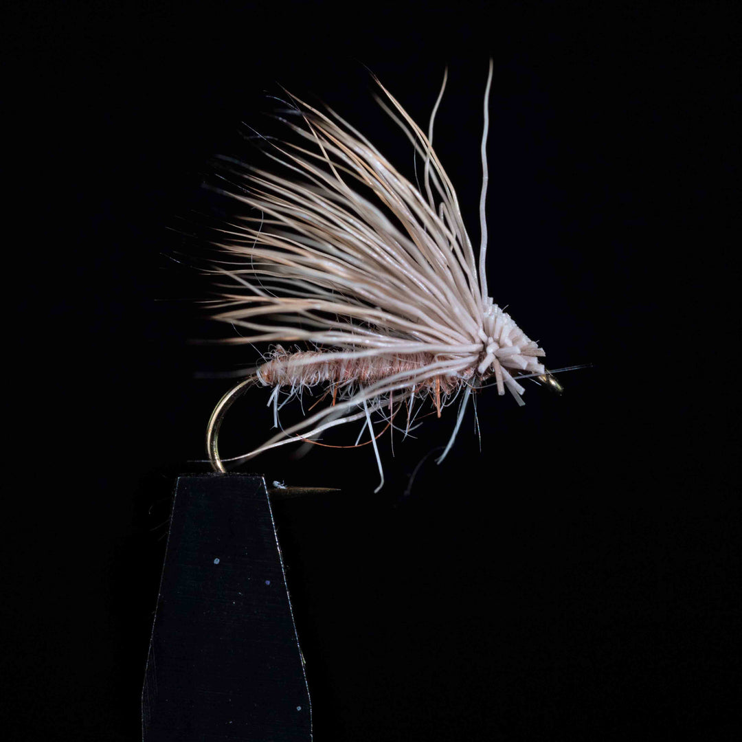 Selezione 3 Mosche – Sedges