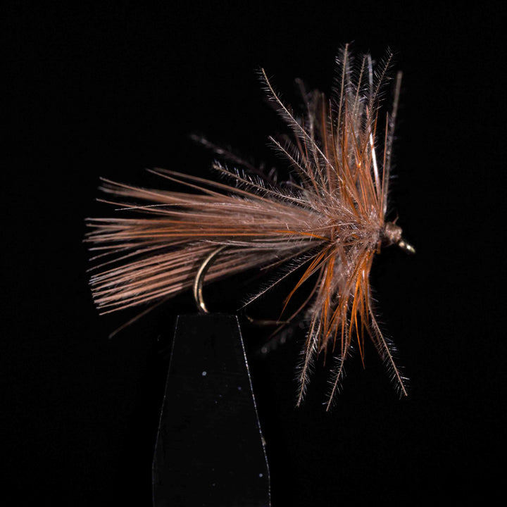 Selezione 3 Mosche – Sedges