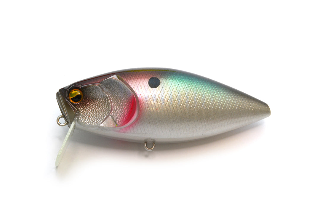 Scratch Switchbait