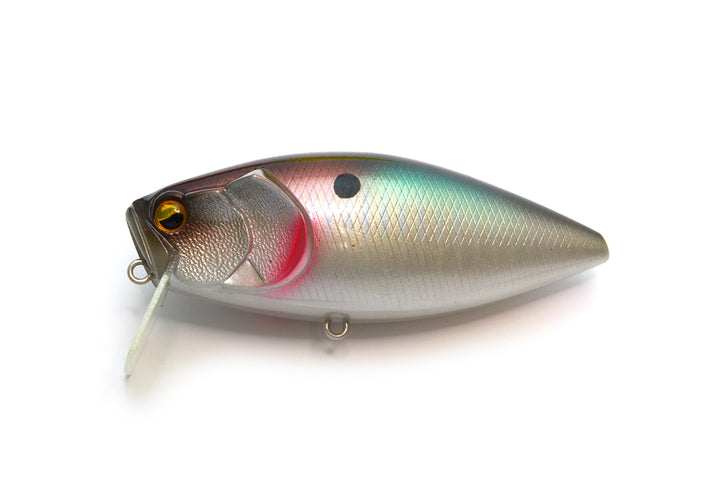 Scratch Switchbait