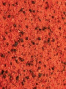 Sarago orata occhiata rossa