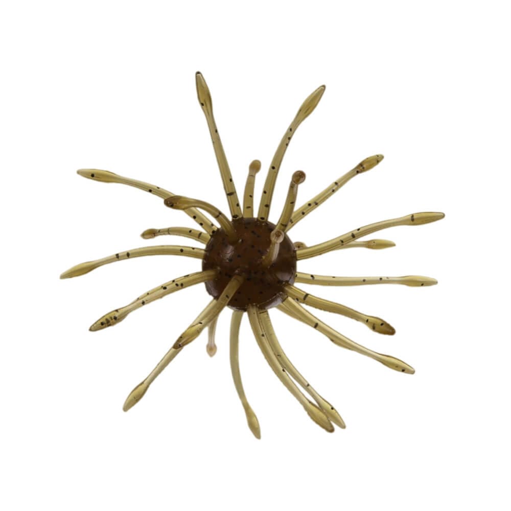 Uni