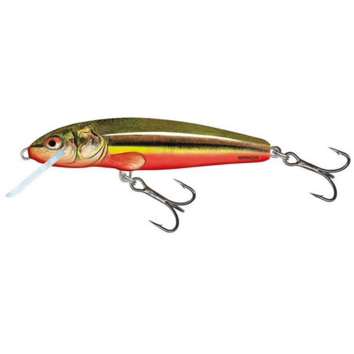 Minnow Floating
