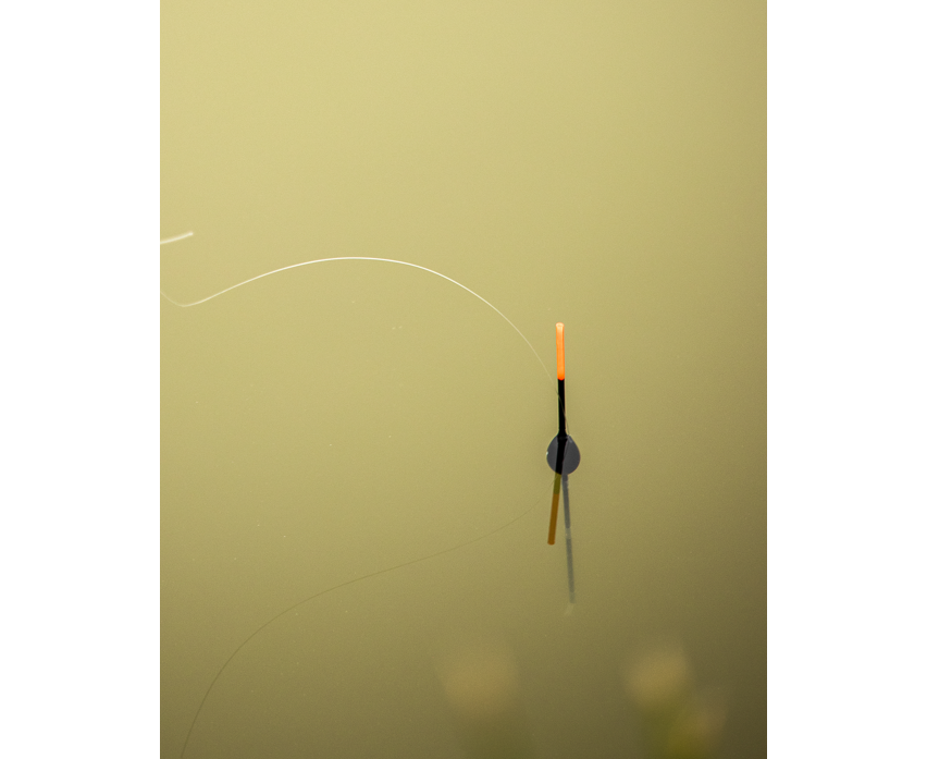 Olive Pole Float