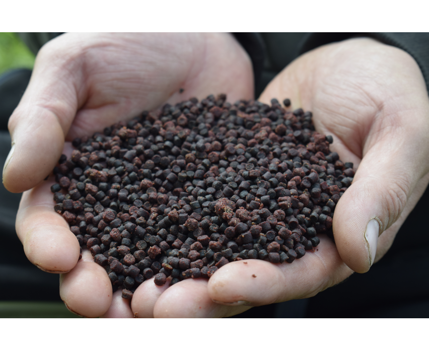 Spicy Sausage Halibut Pellets