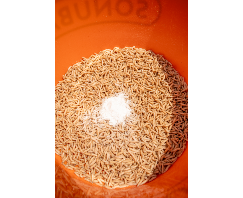 Maggot Glue