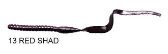 Ribbon Tail
