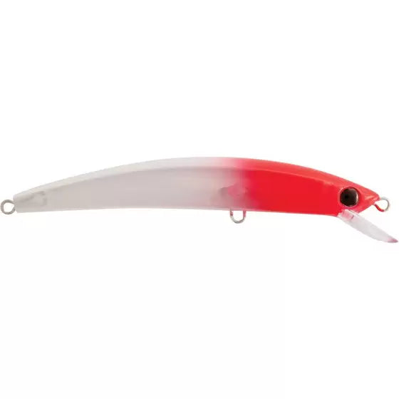 Sapphire Minnow